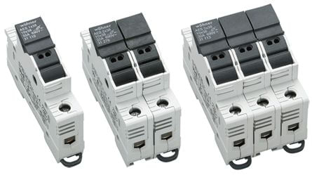 295065image
