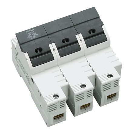 295085image