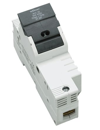 295095image