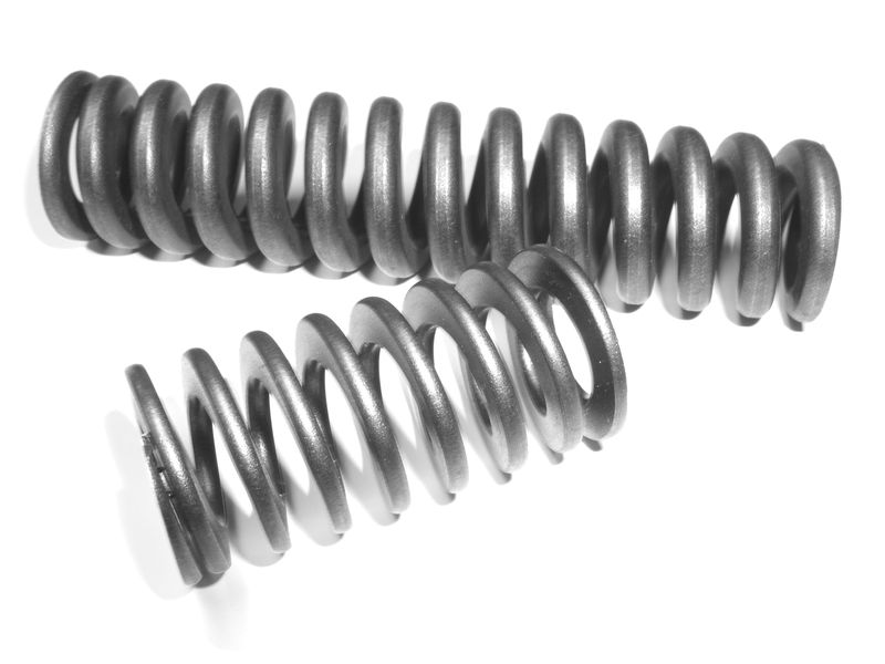 310246925image