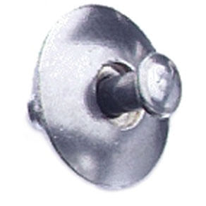 17034image