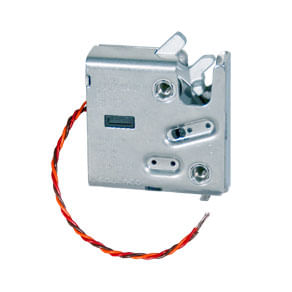 17316image