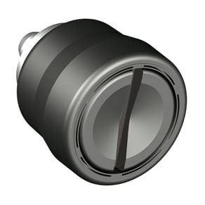 1135008image