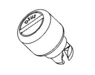 1137247image