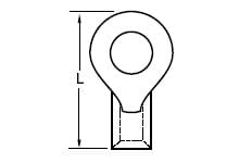 8121677image