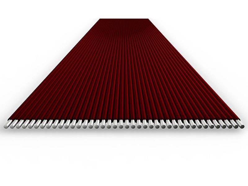 8139051image