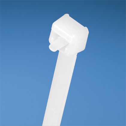 9156906image