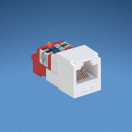 9198193image