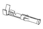 7871989image