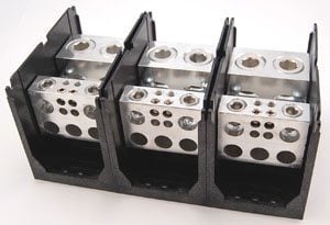 31077image