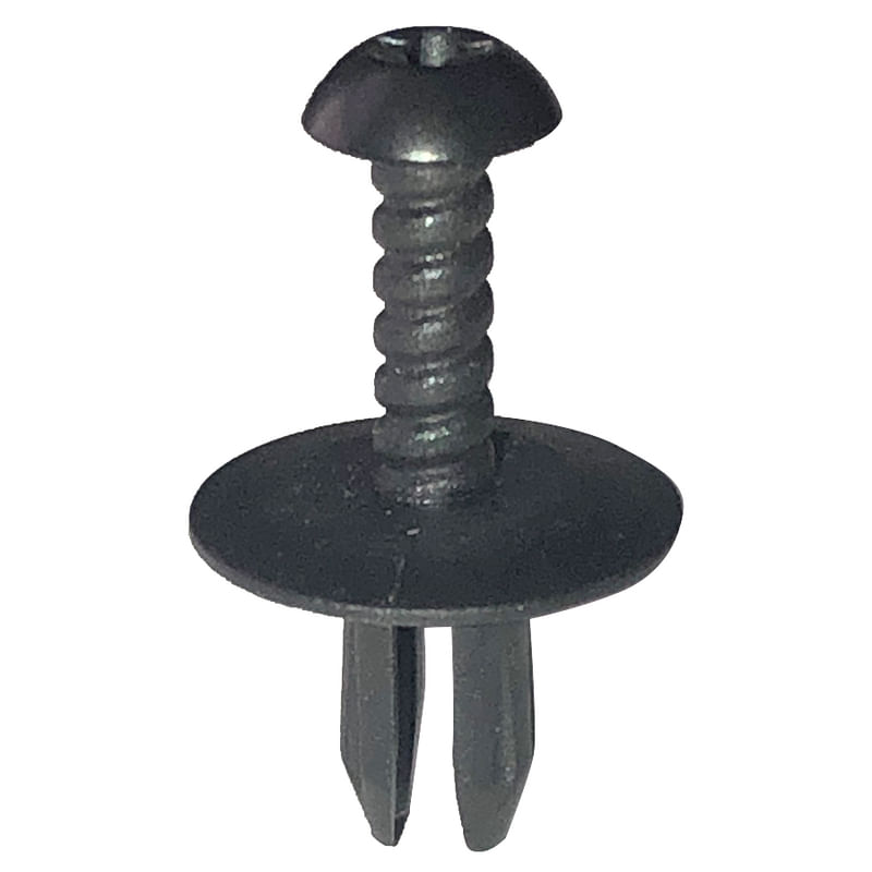 10558905image