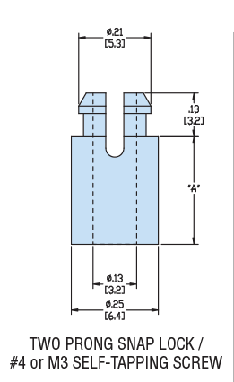 7281017image