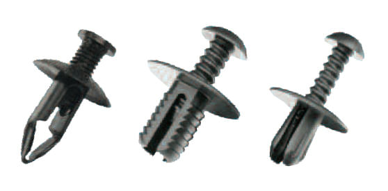 10623107image