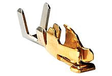 8161959image