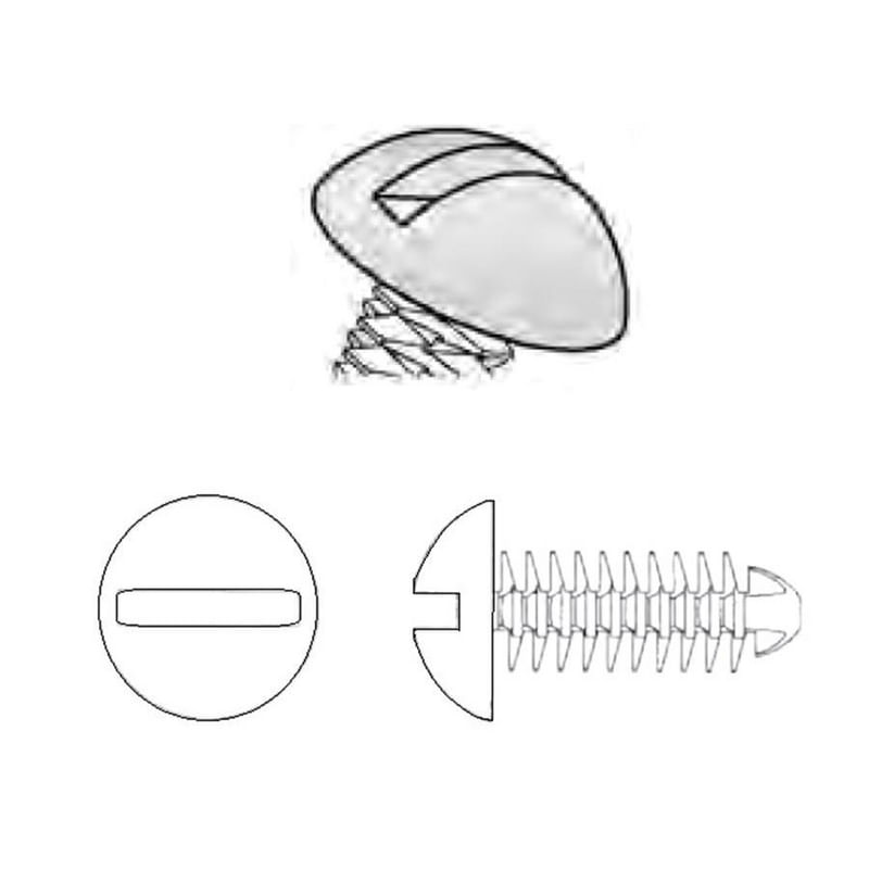10561343image