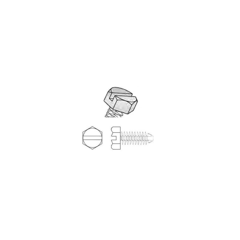 10561324image