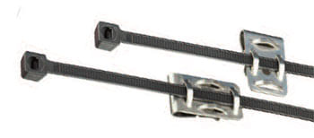 310313905image