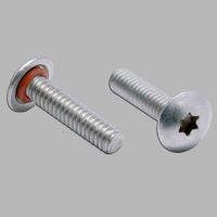 4-40X5/16 TX 팬 SS SIL