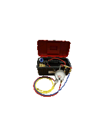310381009image