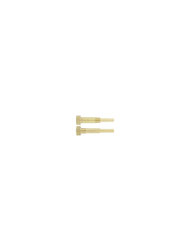 310382331image