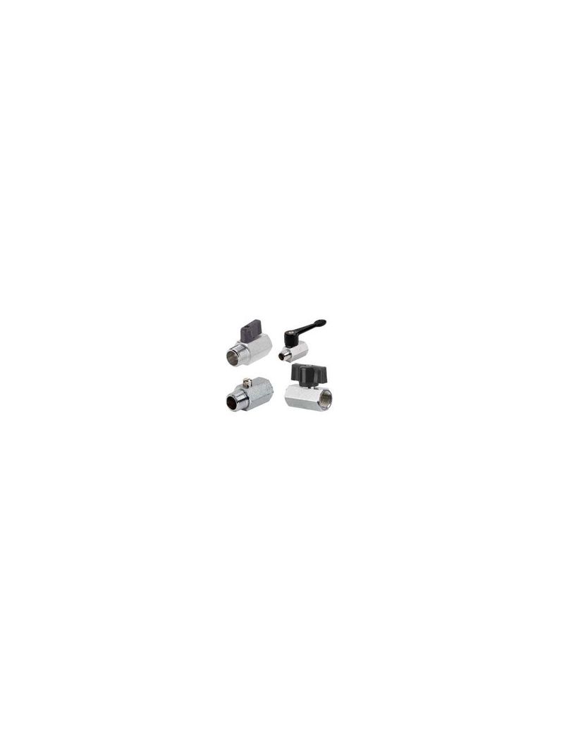 310377552image