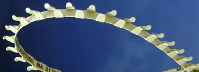 310593971image