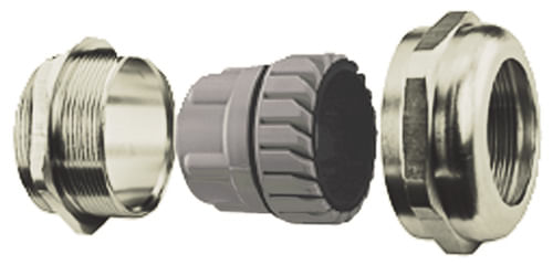 319205image