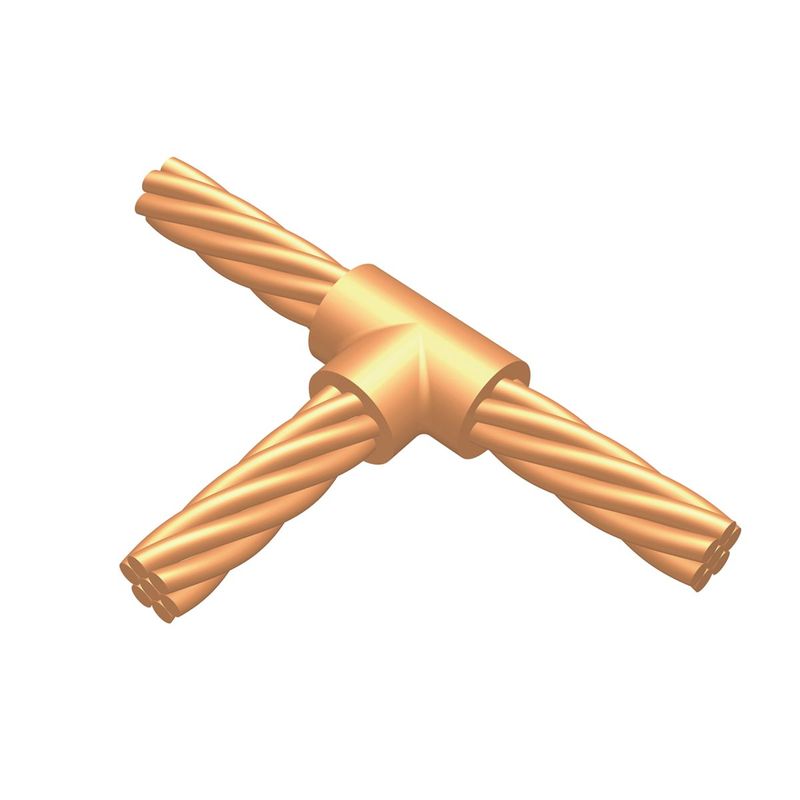 7279572image