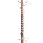 310623884image