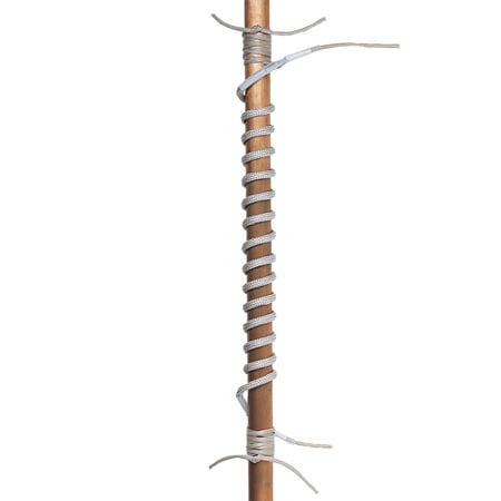 310623884image