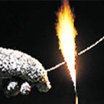 310673016image