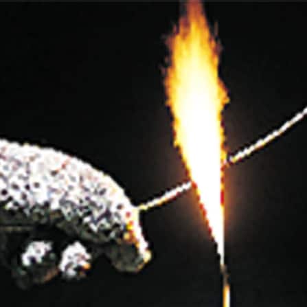 310673396image