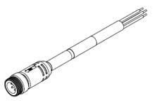 310771785image