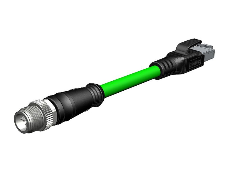 310771856image