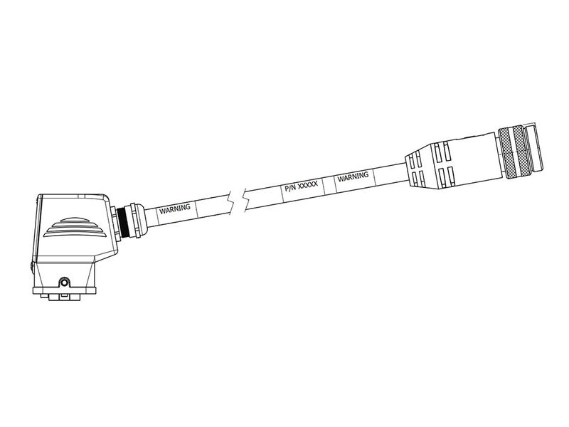 310772137image