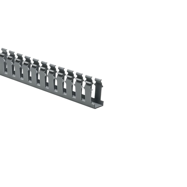 310261134image
