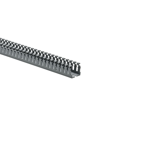 310261154image