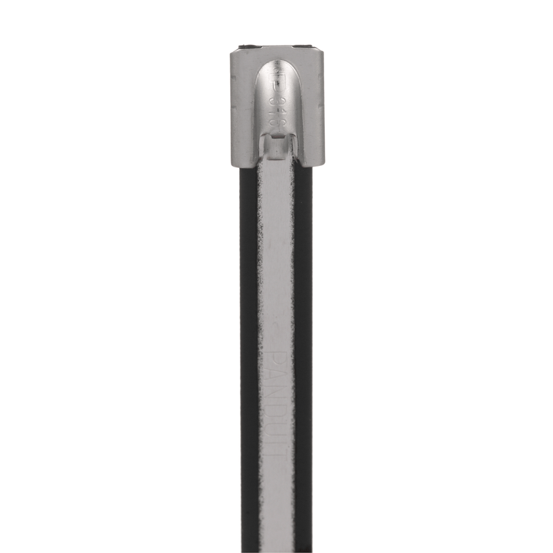 9117058image
