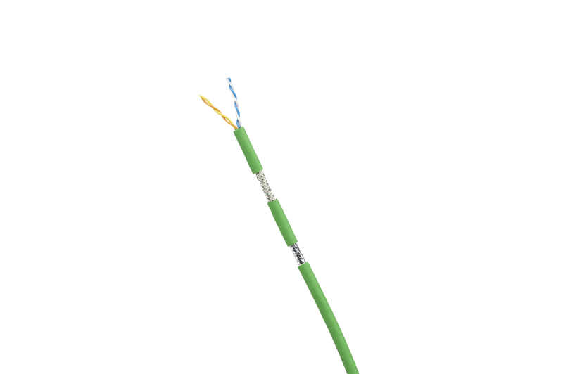 310269584image