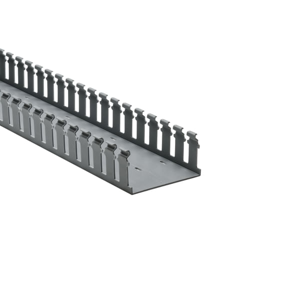 310792897image