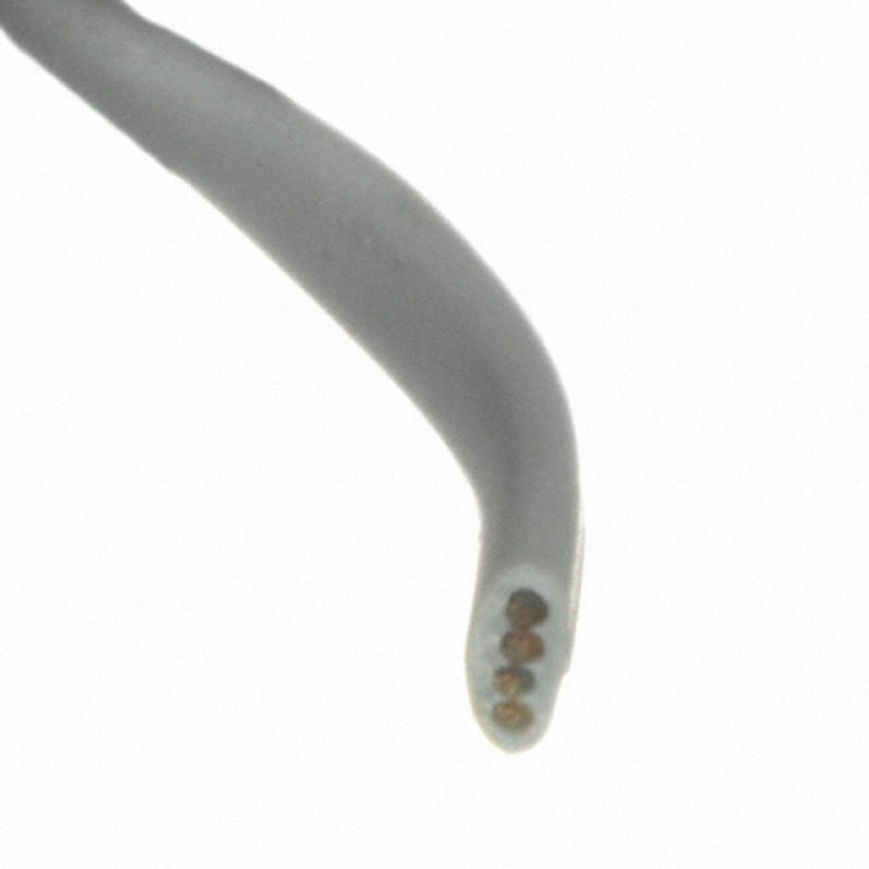 310747244image