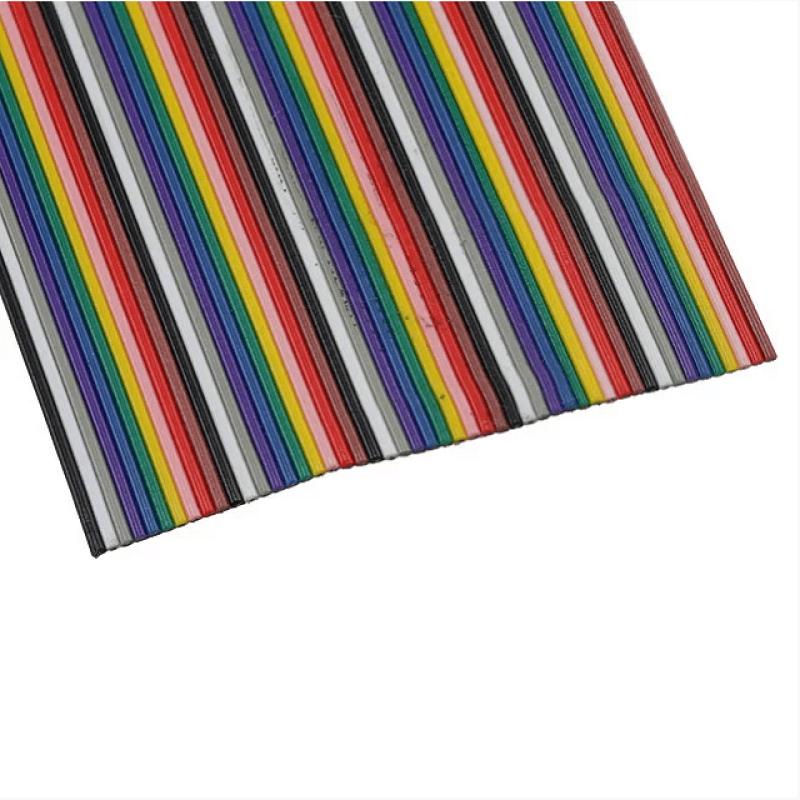 310747519image