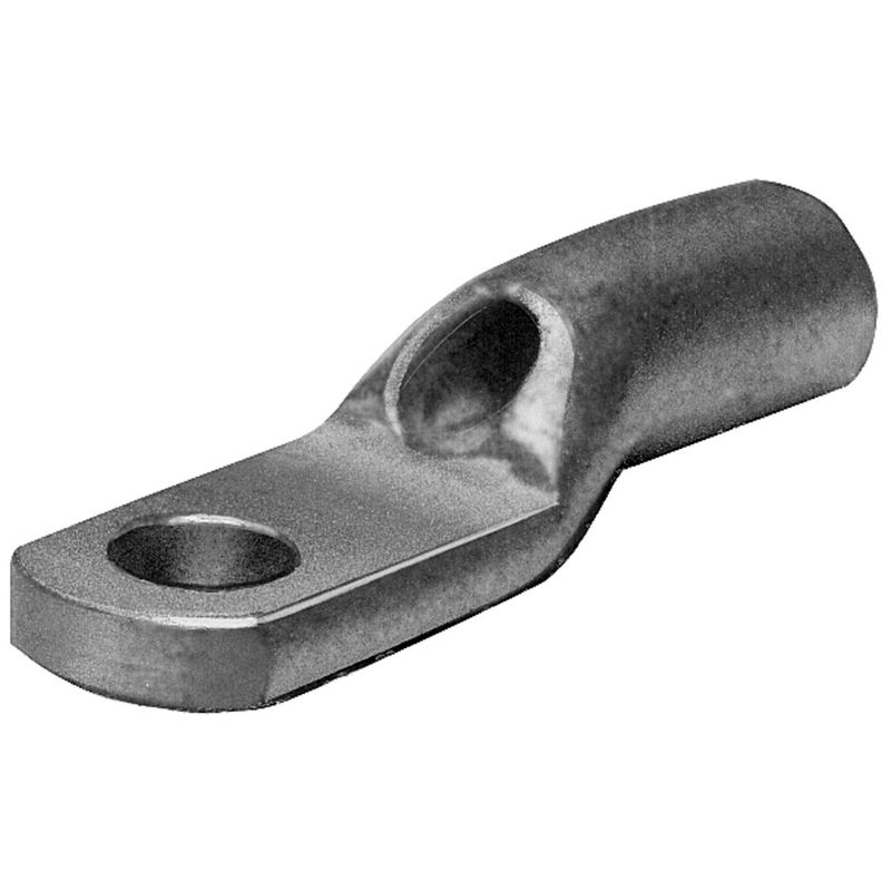 7363597image