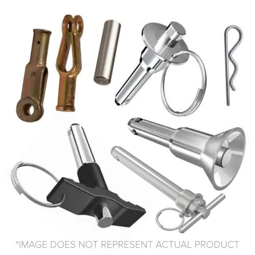 310813564image