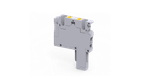 310826817image