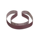 310886244image