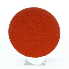 310886245image